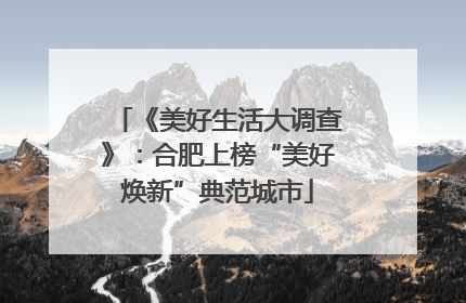 《美好生活大调查》：合肥上榜“美好焕新”典范城市