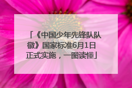 《中国少年先锋队队徽》国家标准6月1日正式实施，一图读懂