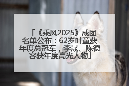 《乘风2025》成团名单公布：62岁叶童获年度总冠军，李晟、陈德容获年度高光人物
