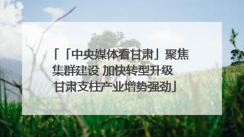 「中央媒体看甘肃」聚焦集群建设 加快转型升级 甘肃支柱产业增势强劲
