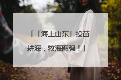 「海上山东」投苗耕海，牧海图强！