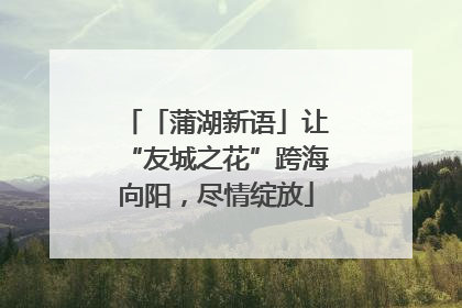 「蒲湖新语」让“友城之花”跨海向阳，尽情绽放
