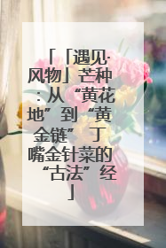 「遇见·风物」芒种：从“黄花地”到“黄金链” 丁嘴金针菜的“古法”经