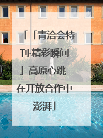 「青洽会特刊·精彩瞬间」高原心跳 在开放合作中澎湃
