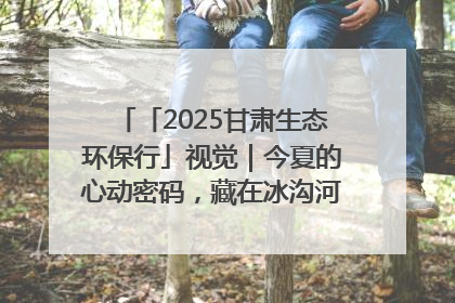 「2025甘肃生态环保行」视觉｜今夏的心动密码，藏在冰沟河的潋滟波光里