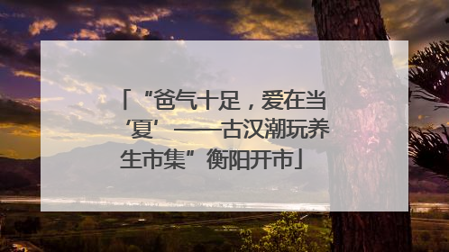 “爸气十足，爱在当‘夏’——古汉潮玩养生市集”衡阳开市