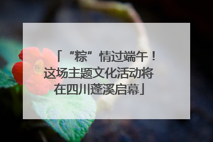 “粽”情过端午！这场主题文化活动将在四川蓬溪启幕