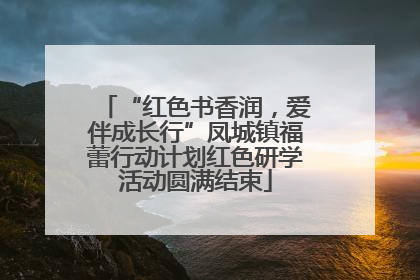“红色书香润，爱伴成长行”凤城镇福蕾行动计划红色研学活动圆满结束