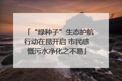 “绿种子”生态护航行动在昆开启 市民感慨污水净化之不易