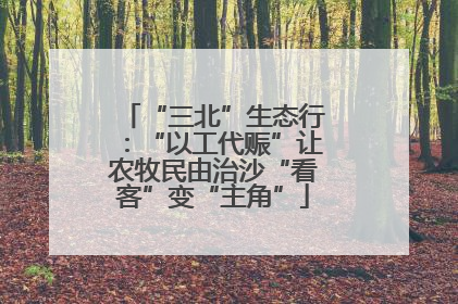 “三北”生态行：“以工代赈”让农牧民由治沙“看客”变“主角”