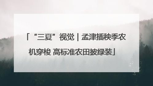 “三夏”视觉｜孟津插秧季农机穿梭 高标准农田披绿装