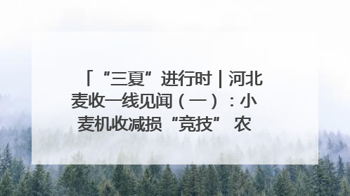 “三夏”进行时｜河北麦收一线见闻（一）：小麦机收减损“竞技” 农机高手麦田“过招”