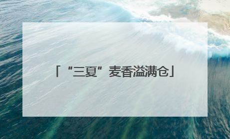 “三夏”麦香溢满仓