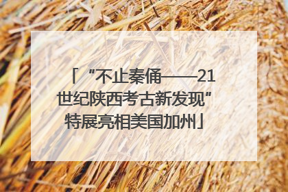 “不止秦俑——21世纪陕西考古新发现”特展亮相美国加州