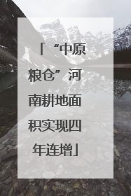 “中原粮仓”河南耕地面积实现四年连增