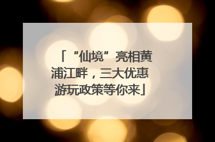 “仙境”亮相黄浦江畔，三大优惠游玩政策等你来