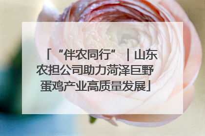“伴农同行”｜山东农担公司助力菏泽巨野蛋鸡产业高质量发展