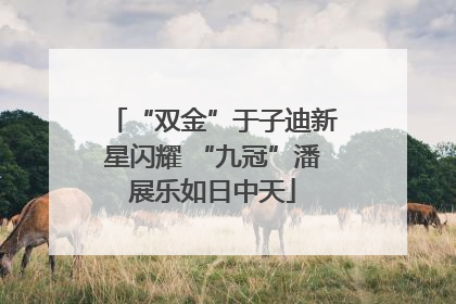 “双金”于子迪新星闪耀 “九冠”潘展乐如日中天