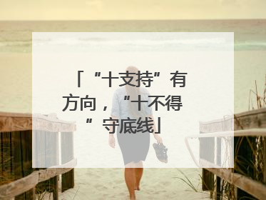 “十支持”有方向，“十不得”守底线