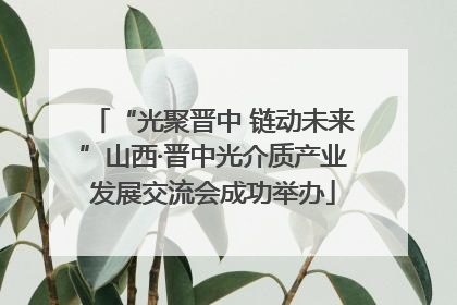 “光聚晋中 链动未来”山西·晋中光介质产业发展交流会成功举办