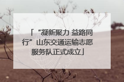 “凝新聚力 益路同行”山东交通运输志愿服务队正式成立