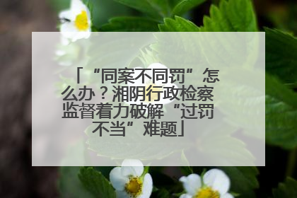 “同案不同罚”怎么办？湘阴行政检察监督着力破解“过罚不当”难题