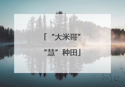 “大米哥”“慧”种田