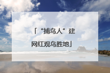 “捕鸟人”建网红观鸟胜地