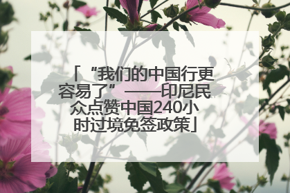 “我们的中国行更容易了”——印尼民众点赞中国240小时过境免签政策