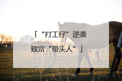 “打工仔”逆袭致富“带头人”