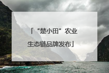 “楚小田”农业生态链品牌发布
