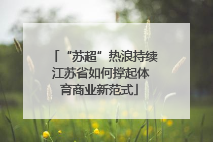 “苏超”热浪持续 江苏省如何撑起体育商业新范式