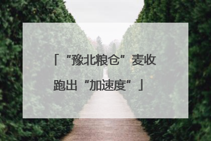 “豫北粮仓”麦收跑出“加速度”