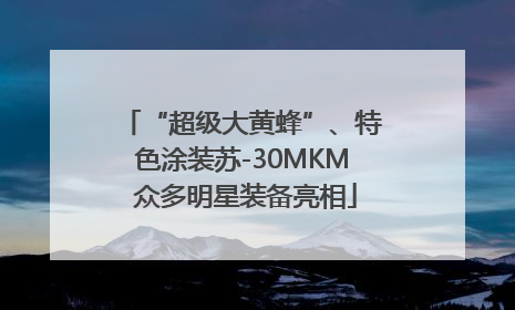 “超级大黄蜂”、特色涂装苏-30MKM 众多明星装备亮相