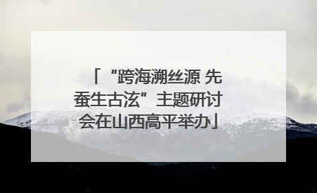 “跨海溯丝源 先蚕生古泫”主题研讨会在山西高平举办