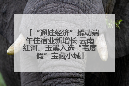 “遛娃经济”撬动端午住宿业新增长 云南红河、玉溪入选“宅度假”宝藏小城
