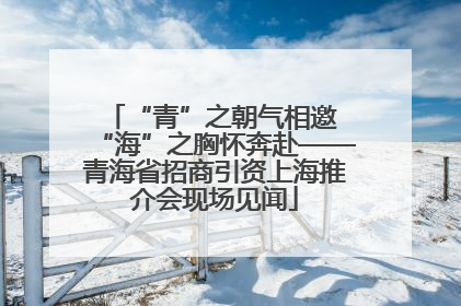 “青”之朝气相邀 “海”之胸怀奔赴——青海省招商引资上海推介会现场见闻
