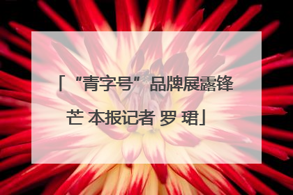 “青字号”品牌展露锋芒 本报记者 罗 珺