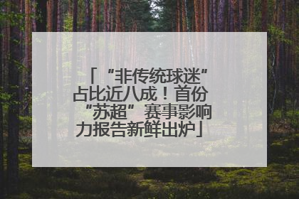 “非传统球迷”占比近八成！首份“苏超”赛事影响力报告新鲜出炉