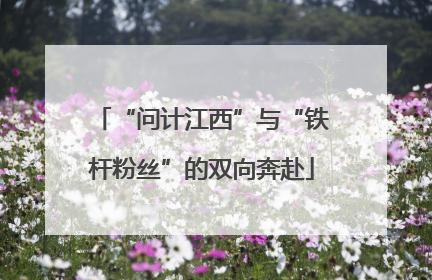 “问计江西”与“铁杆粉丝”的双向奔赴