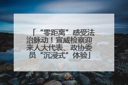 “零距离”感受法治脉动！宣威检察迎来人大代表、政协委员“沉浸式”体验
