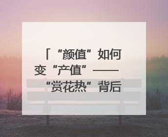 “颜值”如何变“产值”——“赏花热”背后的产业图谱