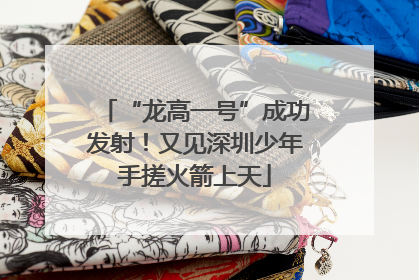 “龙高一号”成功发射！又见深圳少年手搓火箭上天