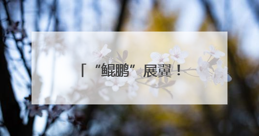 “鲲鹏”展翼！“运-20”入驻西北工业大学