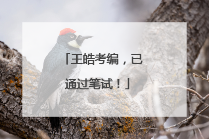 王皓考编，已通过笔试！