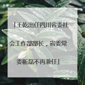 王乾出任四川省委社会工作部部长，省委常委靳磊不再兼任