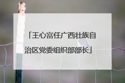 王心富任广西壮族自治区党委组织部部长