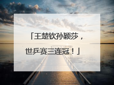 王楚钦孙颖莎，世乒赛三连冠！