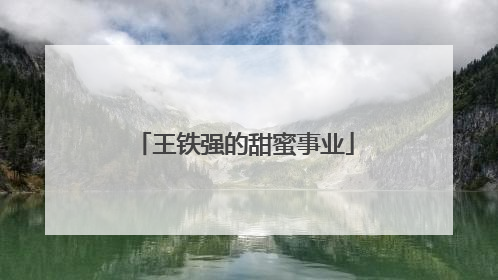 王铁强的甜蜜事业