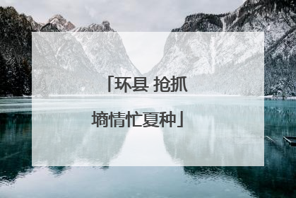 环县 抢抓墒情忙夏种